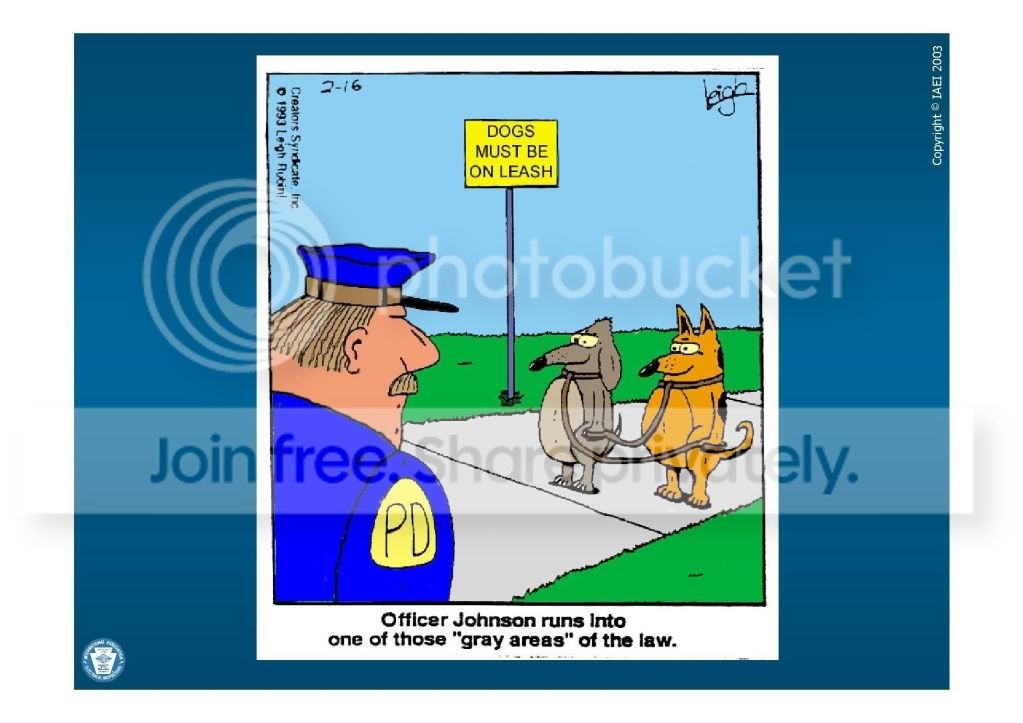 gray area photo: Gray area greyarea.jpg