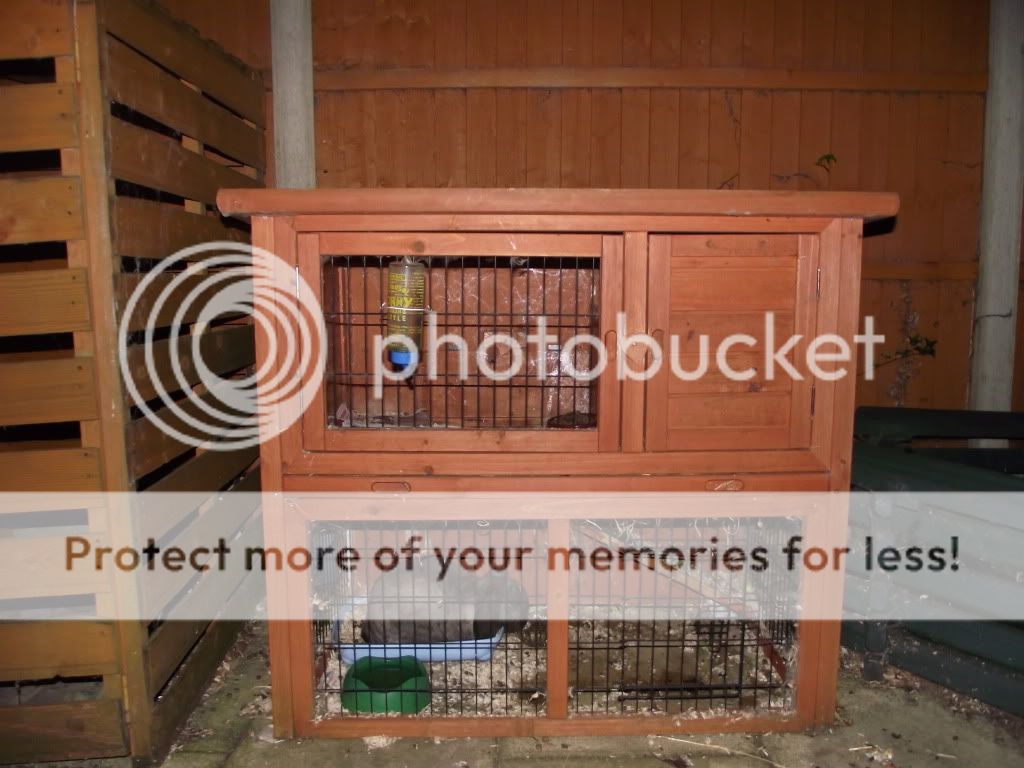 asda rabbit hutch