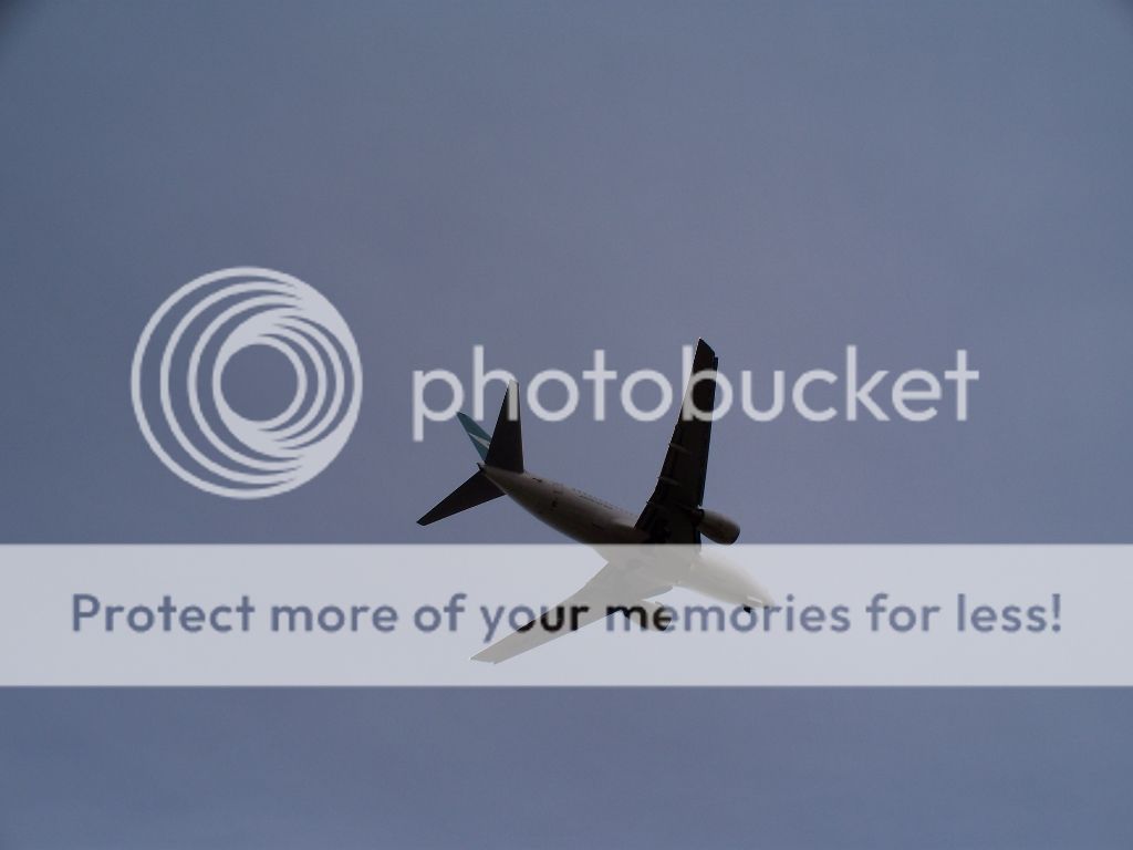 IMAGE: http://i1035.photobucket.com/albums/a435/Iasgair/100_2935_zps085f4bfc.jpg