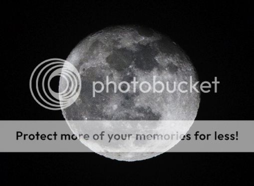 IMAGE: http://i1035.photobucket.com/albums/a435/Iasgair/2014_01_17_9999_4_100crop_zpsbeda5015.jpg