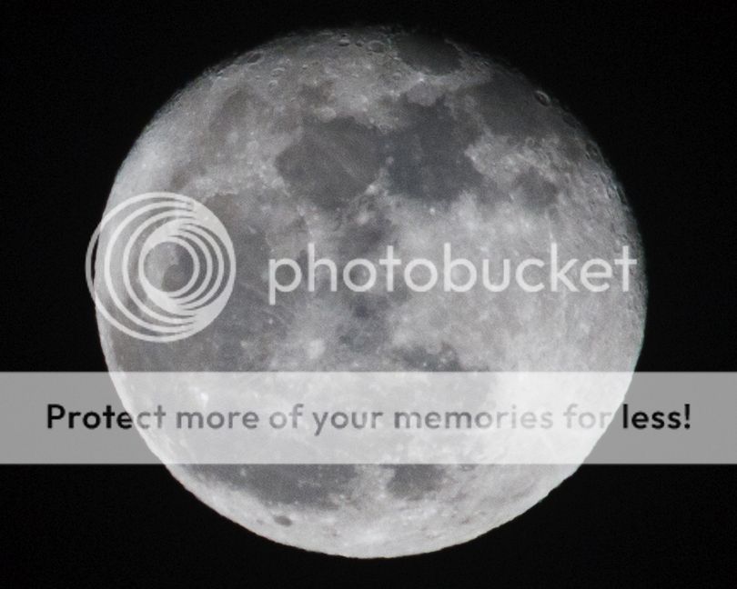 IMAGE: http://i1035.photobucket.com/albums/a435/Iasgair/2014_01_17_9999_7_100crop_zpsa78c0a2f.jpg