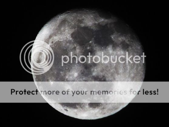 IMAGE: http://i1035.photobucket.com/albums/a435/Iasgair/2014_01_18_9999_3_100crop_6d_zps2c2cc137.jpg