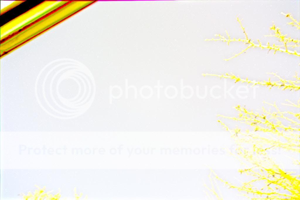 IMAGE: http://i1035.photobucket.com/albums/a435/Iasgair/Autosave_zps40643fee.jpg