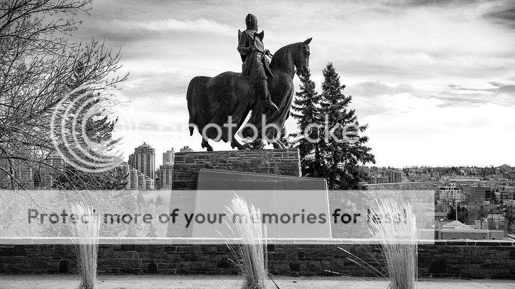 IMAGE: http://i1035.photobucket.com/albums/a435/Iasgair/img_1634_zps0f076dd2.jpg