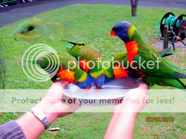 Photobucket