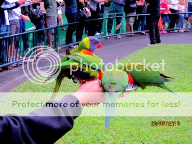 Photobucket