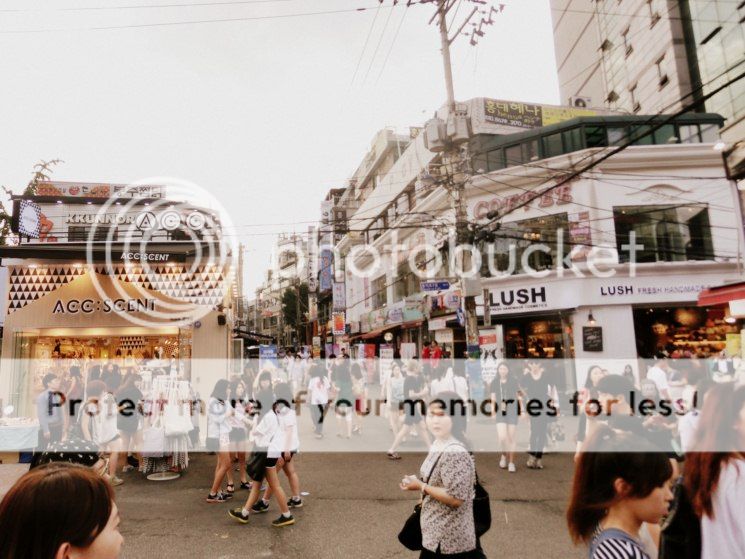  photo CIMG8602-001800x600_zps8d74c4d7.jpg