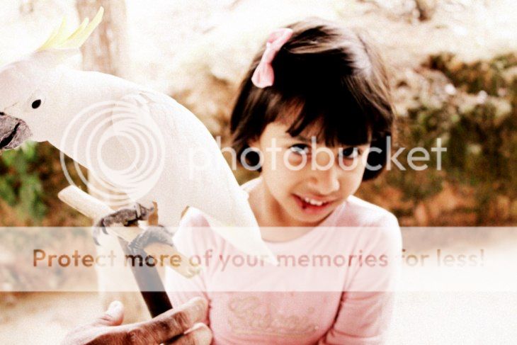 Photobucket