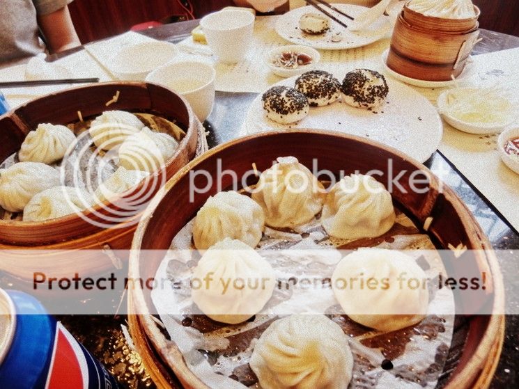  photo CIMG9134-001 Copy_zpsdlgfbwov.jpg