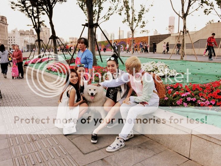  photo CIMG9332-001 Copy_zpsfxcdfk4q.jpg