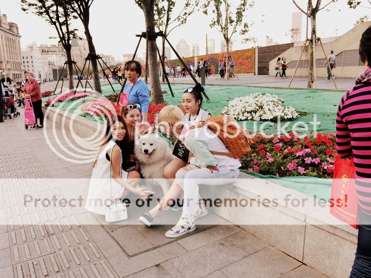  photo CIMG9337-001 Copy_zpswetvpmb0.jpg
