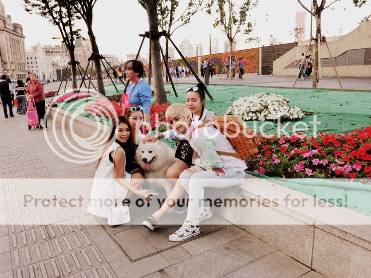  photo CIMG9338-001 Copy_zpsvbzetdgy.jpg