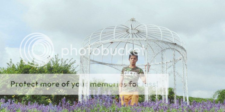  photo 8426800x600_zpsc670be88.jpg