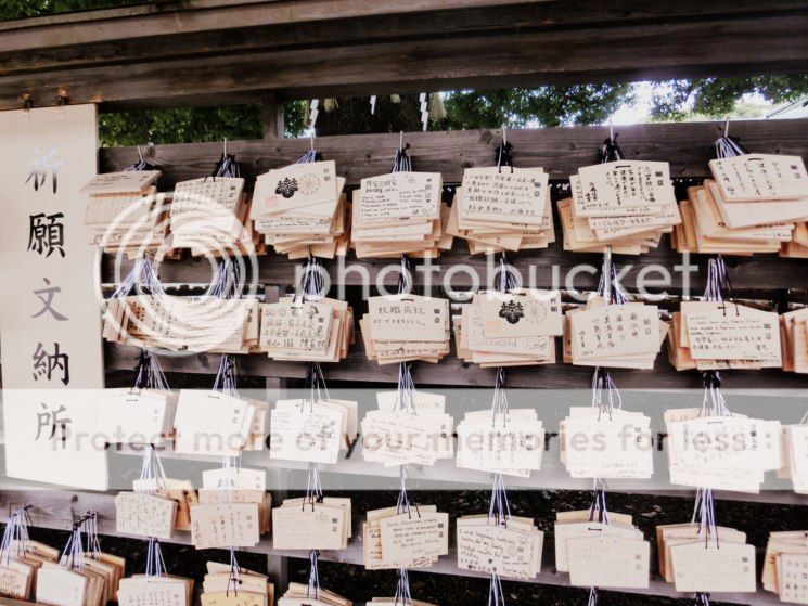 photo CIMG8217-001800x600_zps8209fbd2.jpg