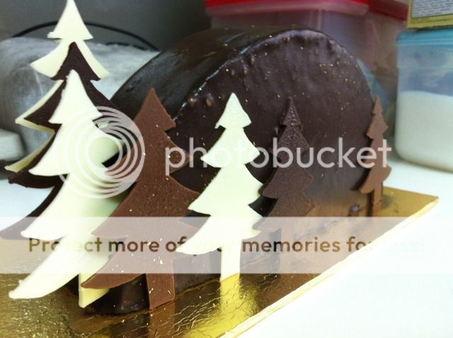 Uploaded from the Photobucket iPhone App