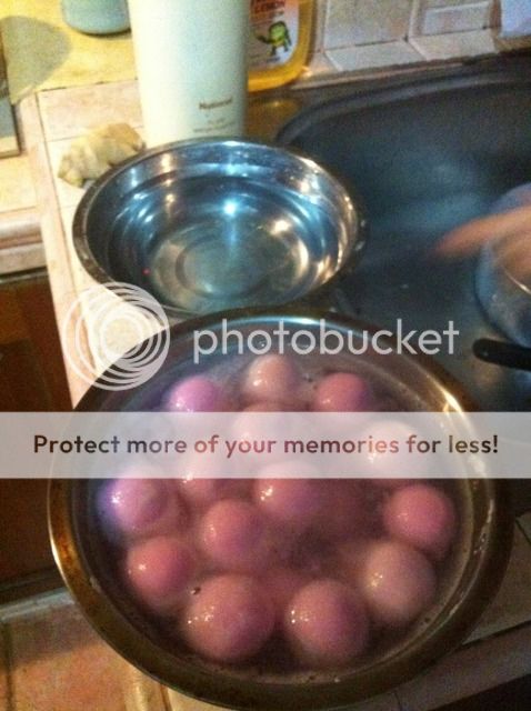 Uploaded from the Photobucket iPhone App