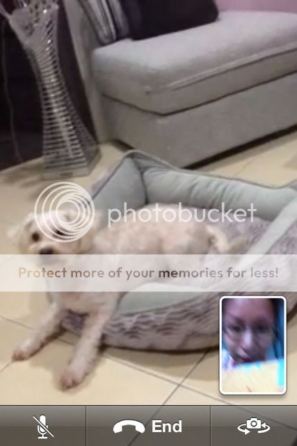 Uploaded from the Photobucket iPhone App