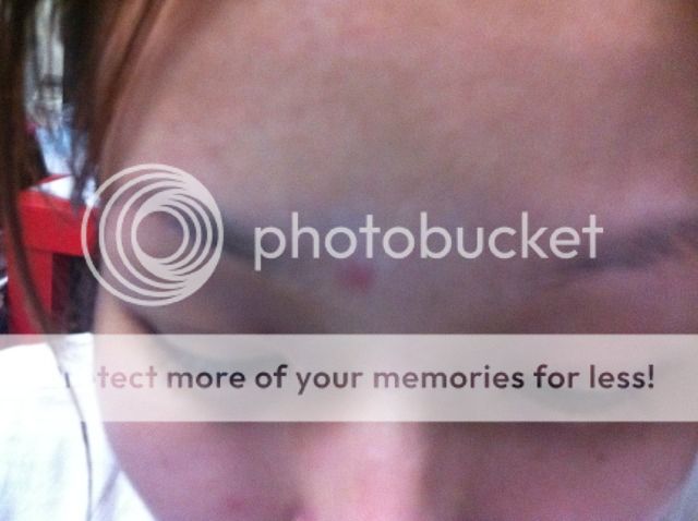 Uploaded from the Photobucket iPhone App