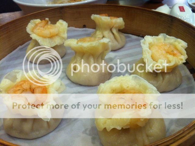 Uploaded from the Photobucket iPhone App