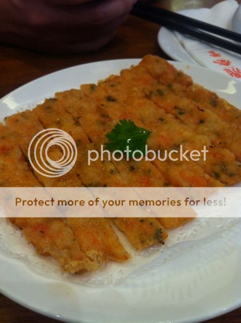 Uploaded from the Photobucket iPhone App