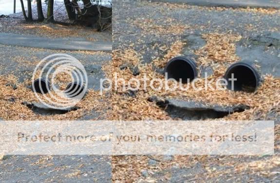 imagenes imagenes