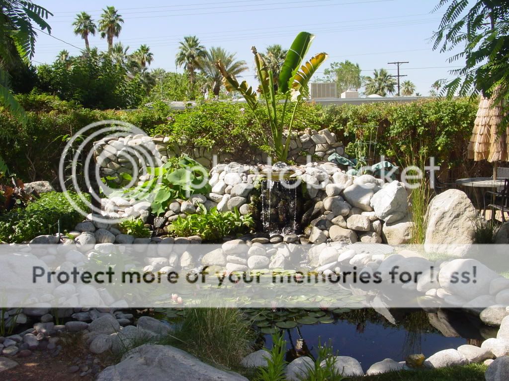 Pond View 061211