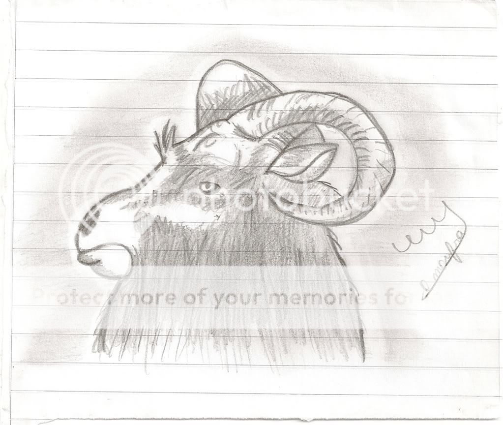 Dibujo Dibujo