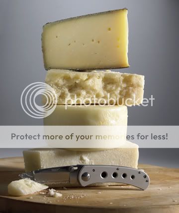 cheese.jpg Cheese image by RmitUE